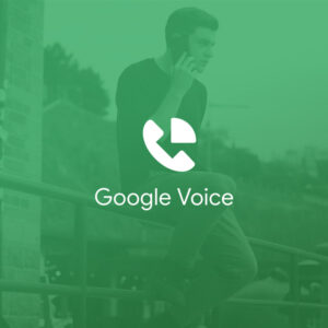 Google Voice Standard